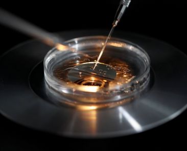 A medical lab technologist operates an embryo vitrification during an intra cytoplasmic sperm injection process (ICSI) at a laboratory in Paris Sept. 13, 2019. Iowa Republicans passed a personhood bill in state House March 7, 2024, that would make it a felony to "cause the death" of an "unborn person" -- the bill was shelved later that month. It was reported that the bill did not advance due to concerns about the unintended consequences for IVF. (OSV News photo/Christian Hartmann, Reuters)