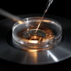 A medical lab technologist operates an embryo vitrification during an intra cytoplasmic sperm injection process (ICSI) at a laboratory in Paris Sept. 13, 2019. Iowa Republicans passed a personhood bill in state House March 7, 2024, that would make it a felony to "cause the death" of an "unborn person" -- the bill was shelved later that month. It was reported that the bill did not advance due to concerns about the unintended consequences for IVF. (OSV News photo/Christian Hartmann, Reuters)