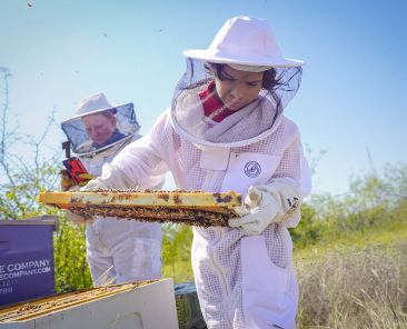 Fifth-grade student David Silva wears a beekeeping suit while inspecting a beehive frame.