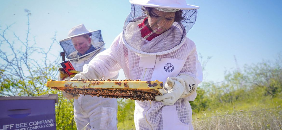 Fifth-grade student David Silva wears a beekeeping suit while inspecting a beehive frame.