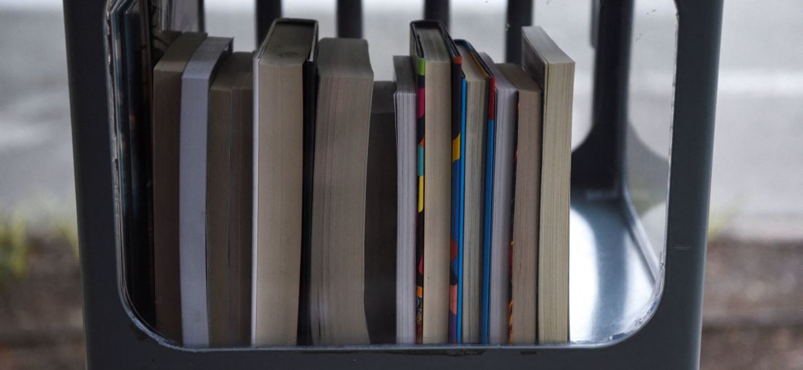 LITTLE FREE LIBRARY BOOKS