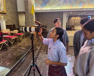 St. Bernard photography -- edit