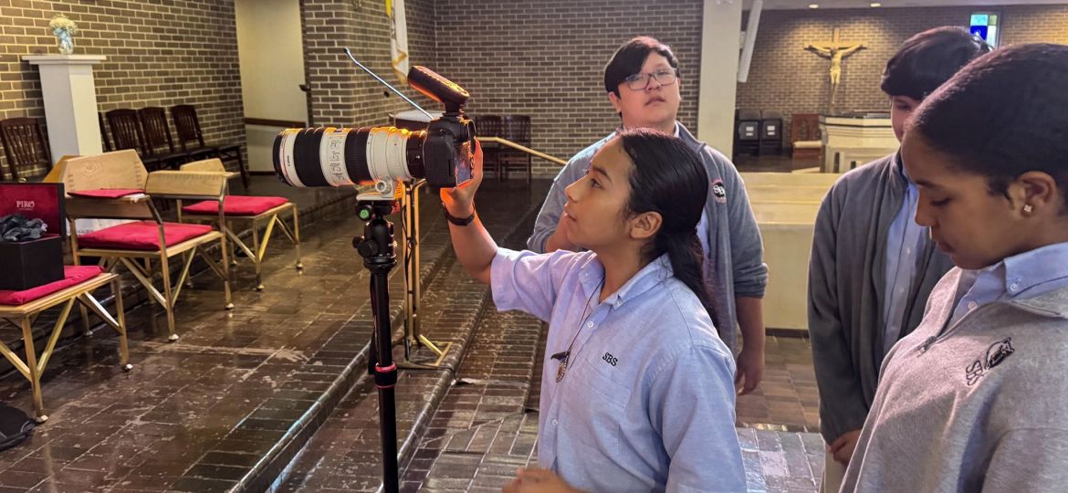 St. Bernard photography -- edit