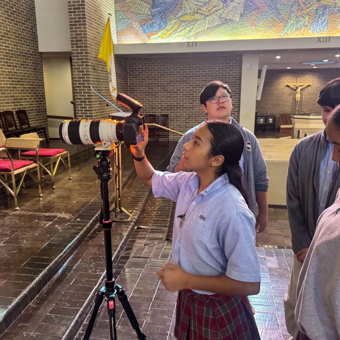 St. Bernard photography -- edit