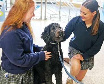 Students at Helias Catholic High School in Jefferson City, Mo., seen an undated photo, greet Hattie Mae, the school's new therapy dog. The lovable, 60-pound Bernese mountain dog-poodle mix has been trained and certified to help students find calm throughout their hectic school days. (OSV News photo/courtesy Tate Wehrle and Noah Doolittle)