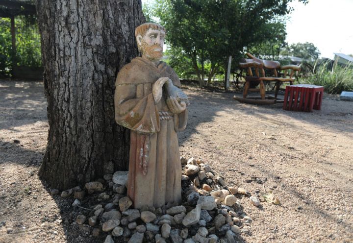 Why is St. Francis of Assisi patron of the environment?